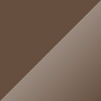 Volkswagen T1 Brown Beige Color