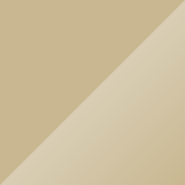 Volkswagen T1 Light Beige Color