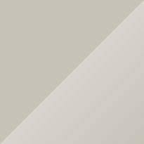 Volkswagen T1 Light Grey Color