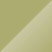 Volkswagen T1 Mango Green Color