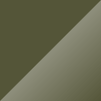 Volkswagen T1 Palm Green Color