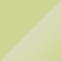 Volkswagen T1 Sand Green Color