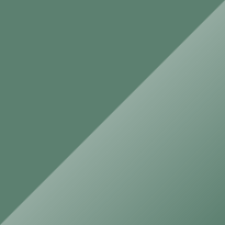 Volkswagen T1 Velvet Green Color