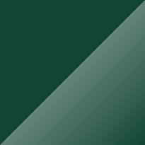 Volvo 240 142 Deep Green Color